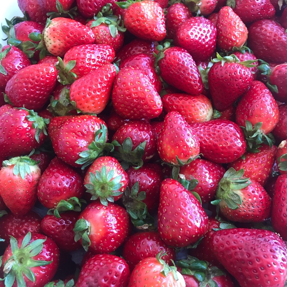 Meet your Posher, Christa